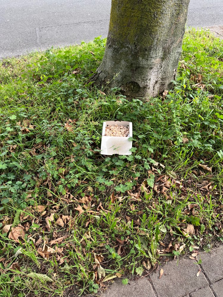 Giftköder-Giftköder?!!-Profilbild