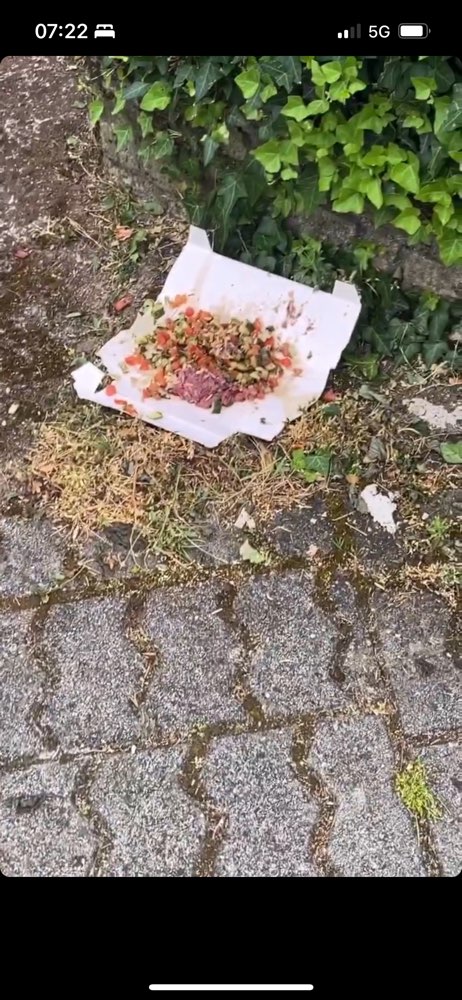 Giftköder-Giftköder-Profilbild