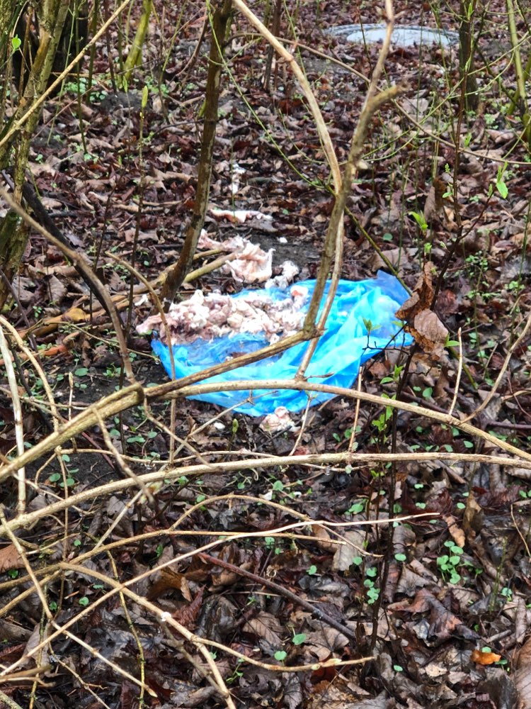 Giftköder-Undefinierbare Abfälle-Profilbild