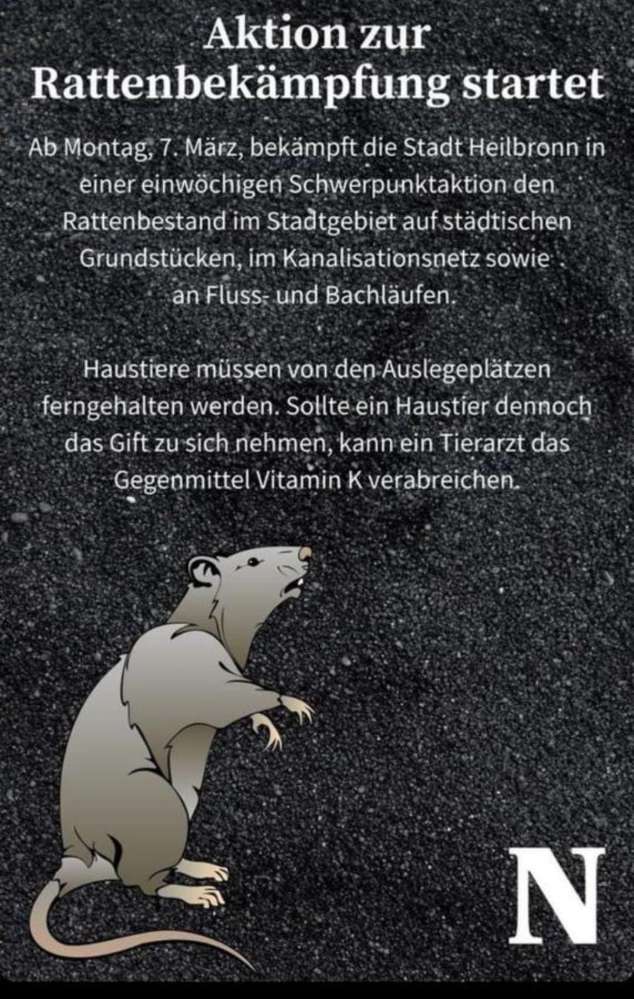 Giftköder-Rattenbeseitigungsaktion-Profilbild