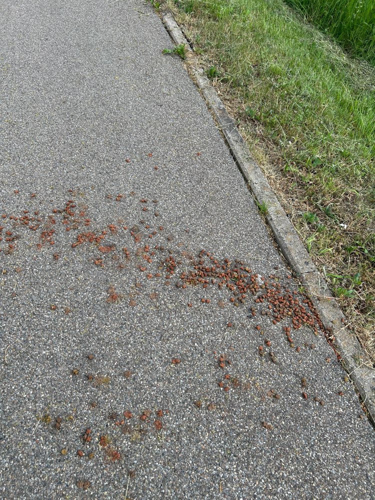 Giftköder-Vlt Giftköder-Profilbild