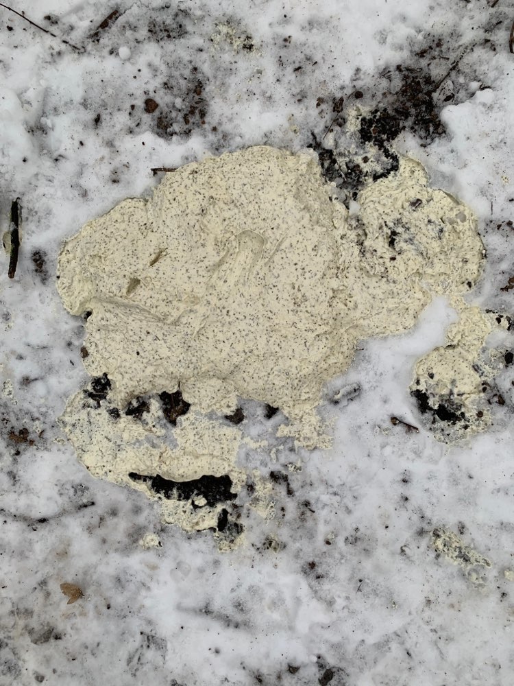 Giftköder-Vorsicht!-Profilbild