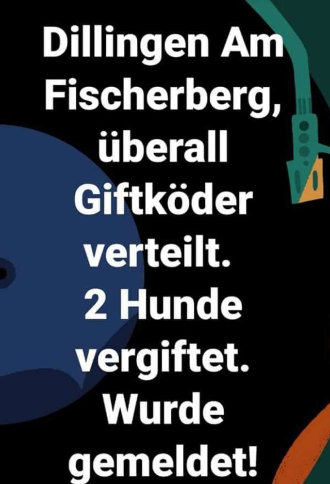 Giftköder-Schon wieder Giftköder-Profilbild