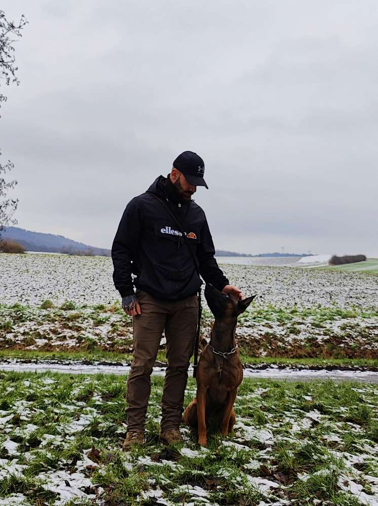 Hundetreffen-Gemeinsamer Spaziergang-Profilbild