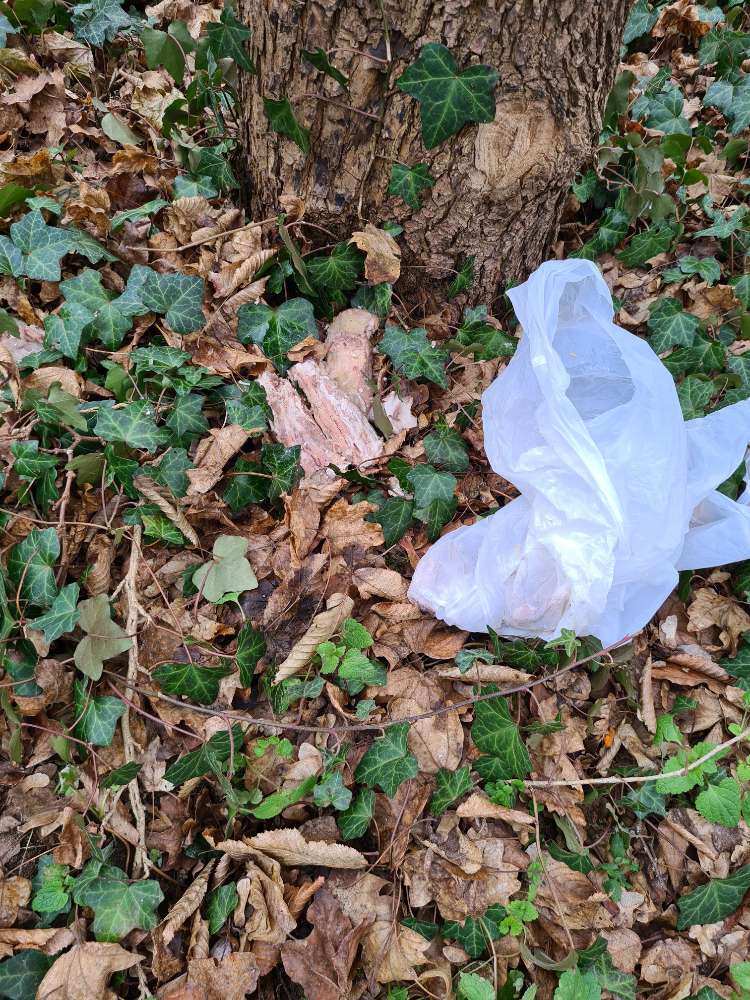 Giftköder-Evtl Giftköder-Profilbild