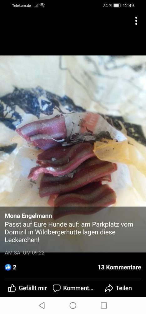 Giftköder-Leckerlies Parkplatz Domizil Wildbergerhütte-Profilbild