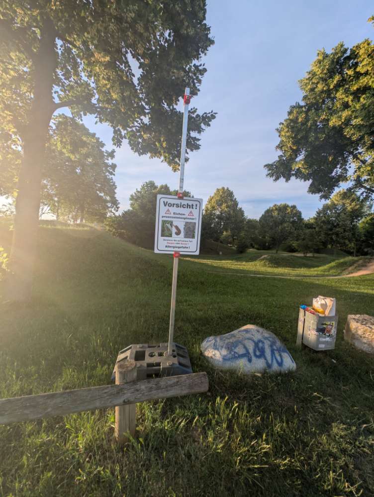 Giftköder-Prozessionsspinner-Profilbild