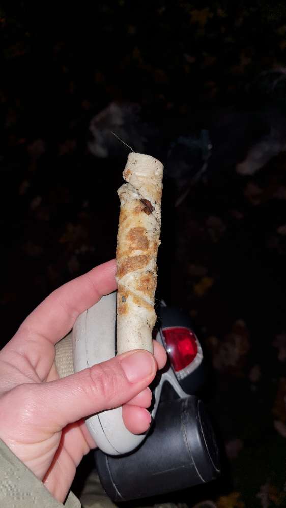 Giftköder-Auselegte Leckerlis!-Profilbild