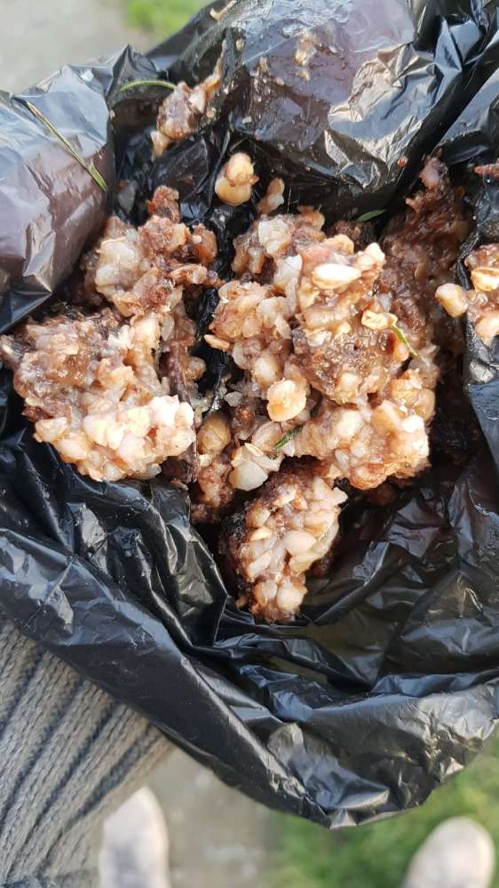 Giftköder-Undifinierbarer haufen Gefunden-Profilbild