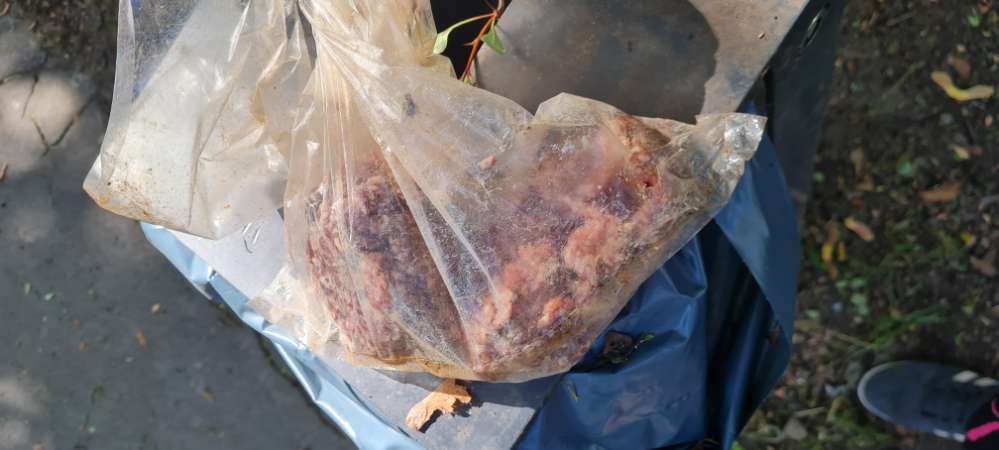 Giftköder-Ausgelegtes Hack-Profilbild