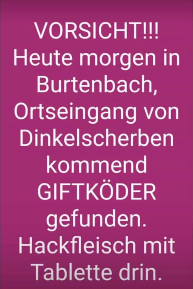 Giftköder-Giftköder, Hackfleisch mit Tablette-Profilbild