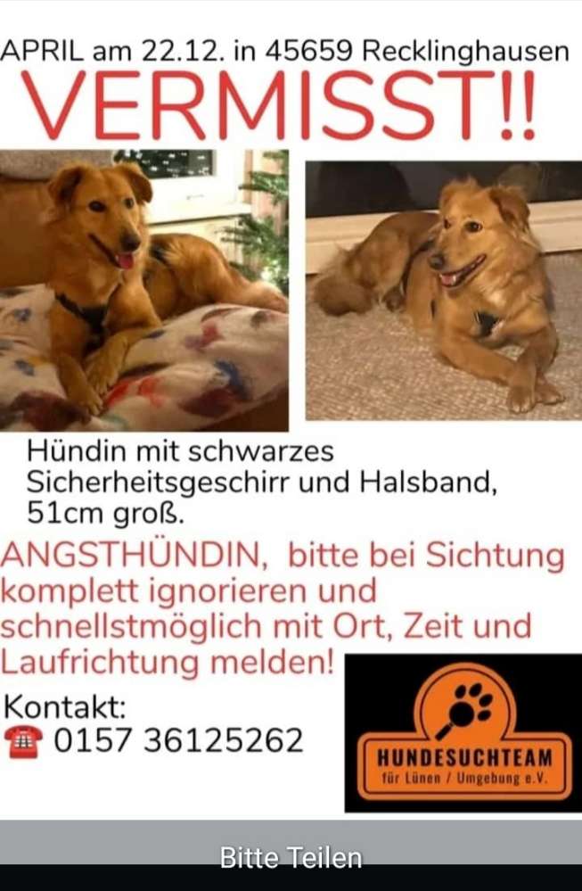 Suchmeldung-April-Profilbild