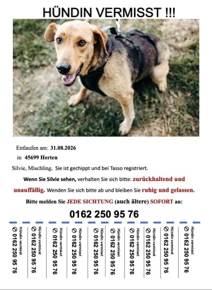 Suchmeldung-Silvy-Profilbild