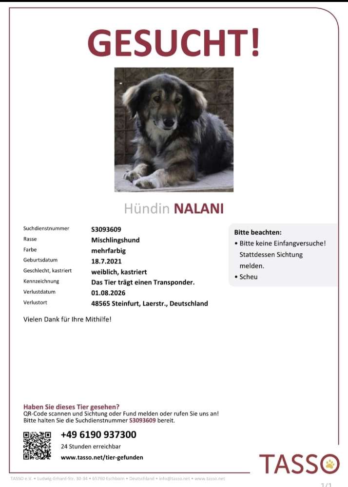 Suchmeldung-Nalani-Profilbild