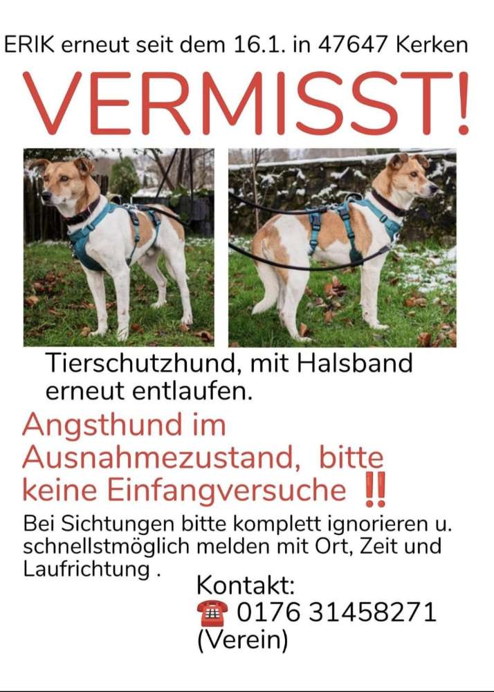 Suchmeldung-Erik-Profilbild