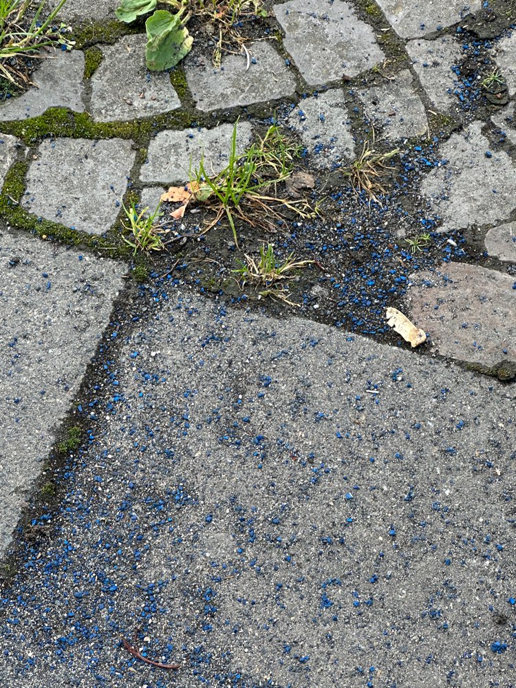 Giftköder-Evtl. Schneckenkorn-Profilbild