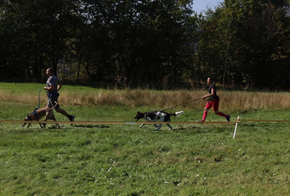 Hundetreffen-Canicross-Profilbild