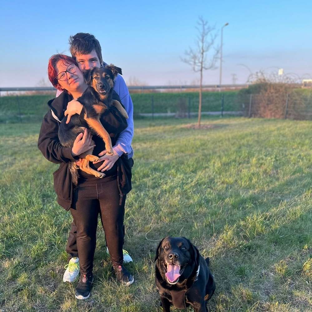 Hundetreffen-Gassirunden-Profilbild