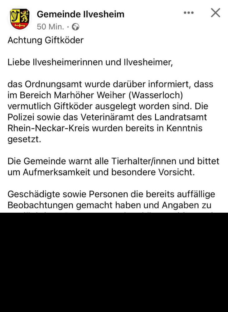 Giftköder-Giftköder-Profilbild