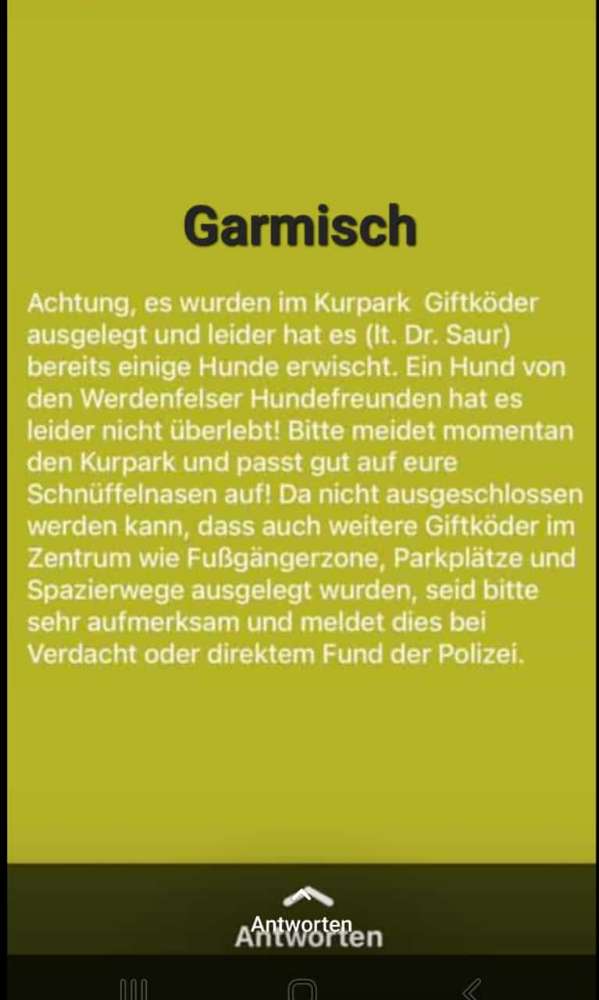 Giftköder-Giftköder-Profilbild