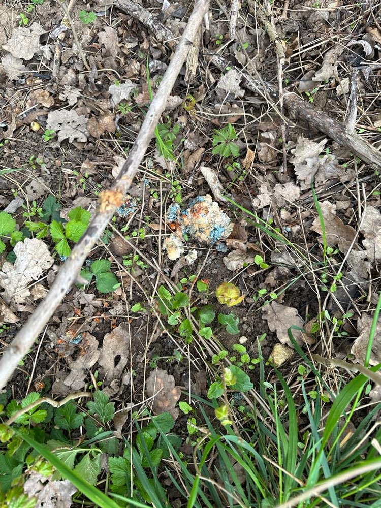 Giftköder-Gefahrenmeldung-Profilbild