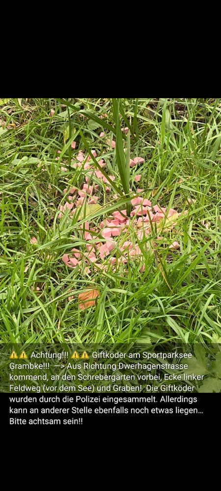 Giftköder-Giftköder-Profilbild