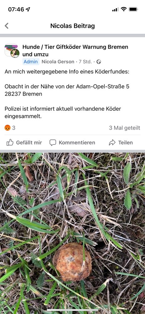 Giftköder-Giftköder-Profilbild