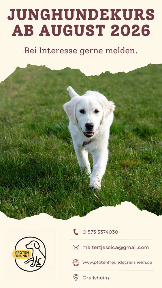 Hundetreffen-Junghundekurs-Profilbild