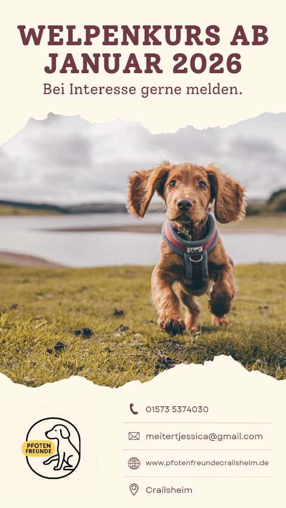 Hundetreffen-Welpenkurs Pfotenfreunde-Profilbild