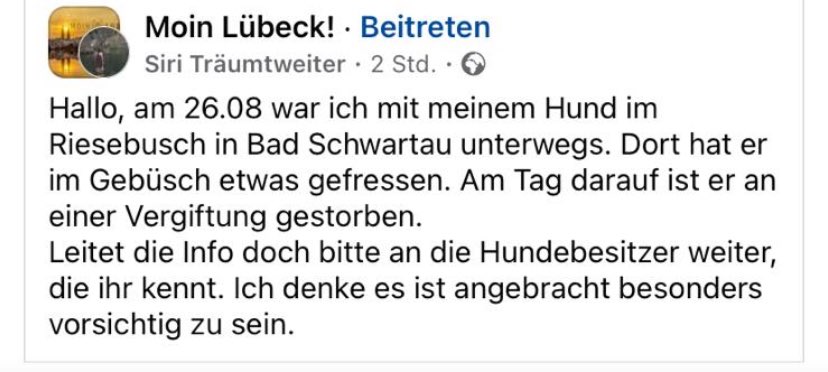 Giftköder-Giftköder-Profilbild