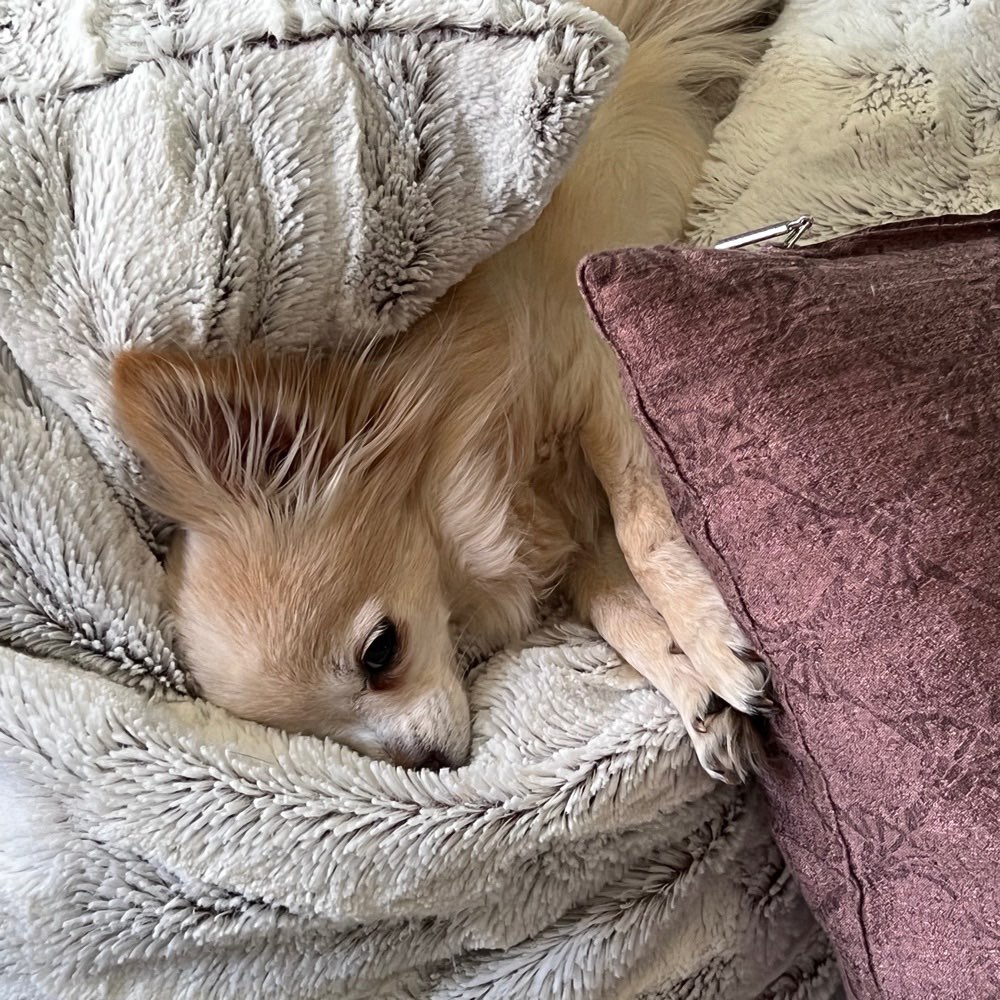 Suchmeldung-Emilia-Profilbild