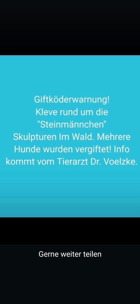 Giftköder-Giftköder-Profilbild