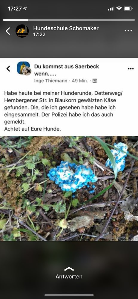 Giftköder-Giftköder-Profilbild