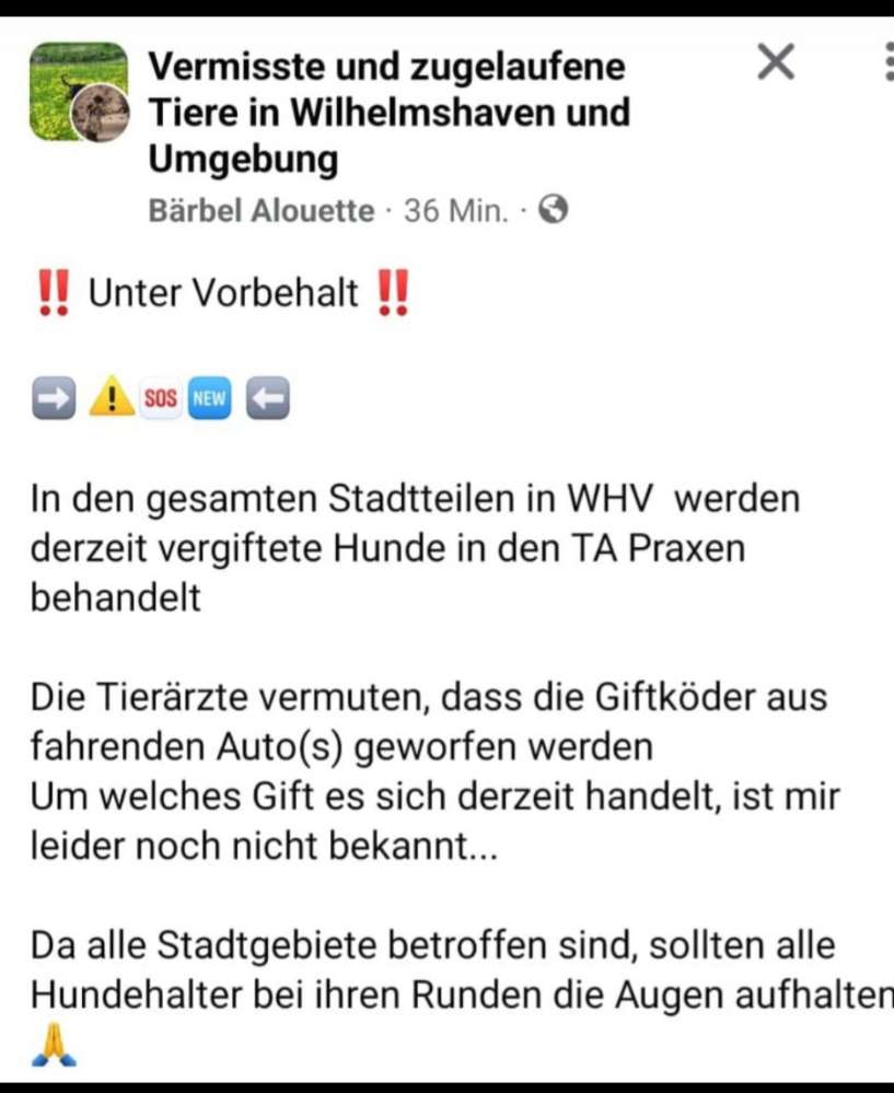 Giftköder-Giftköder -Profilbild