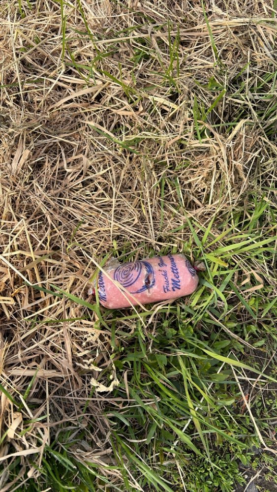 Giftköder-Verdacht auf Giftköder-Profilbild