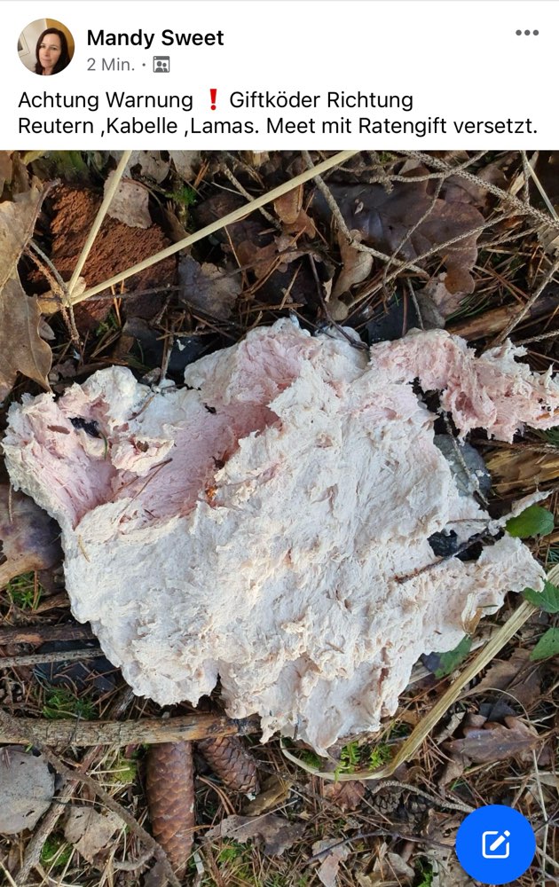 Giftköder-Giftköder Richtung Welden-Reutern, Lamas-Profilbild