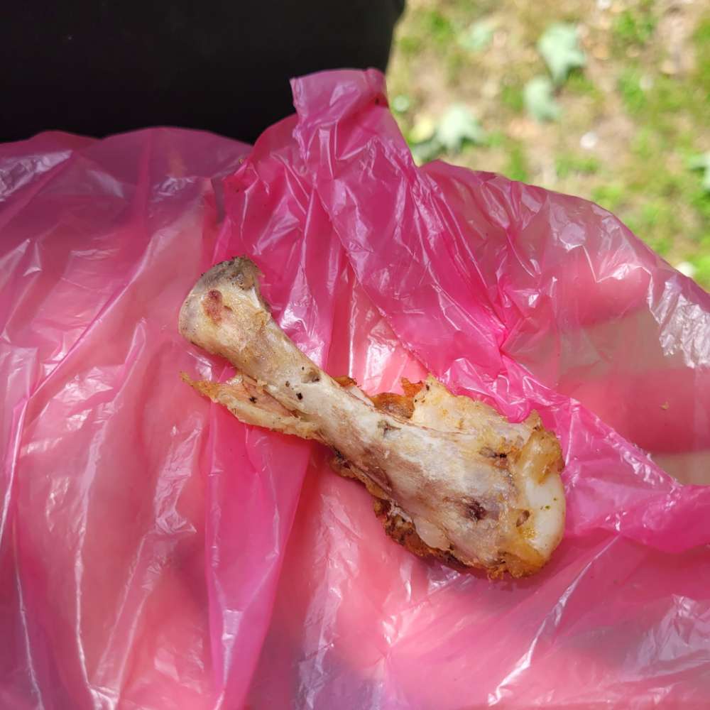 Giftköder-Hähnchen knochen minimal mit fleisch-Profilbild