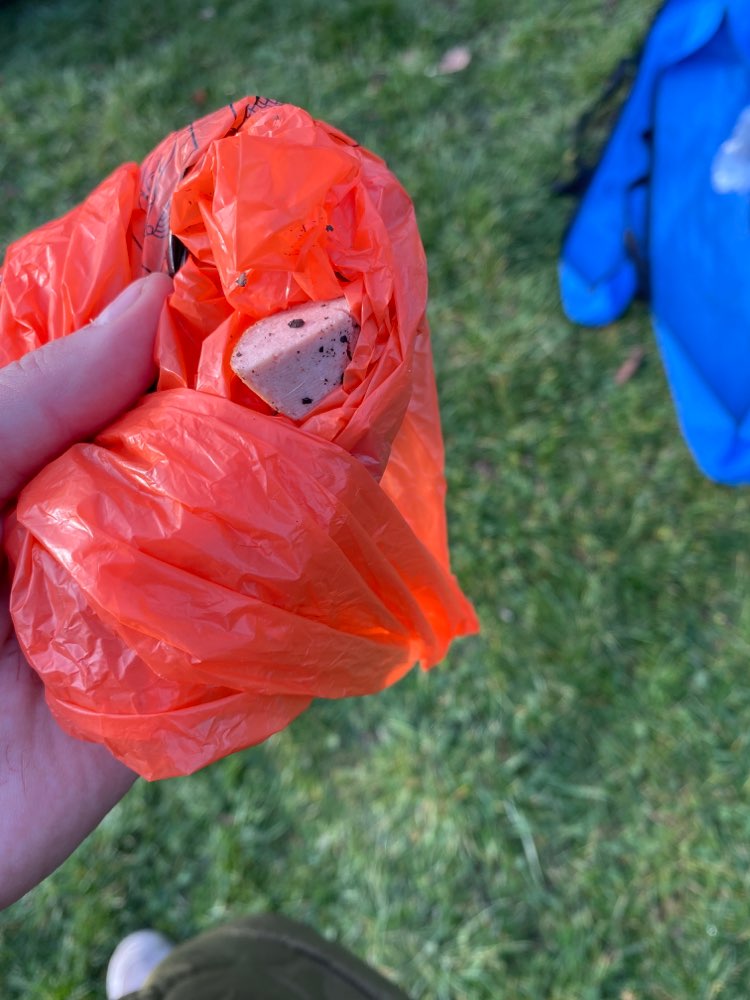 Giftköder-Vermutlicher Giftköder Nähe Lentpark-Profilbild