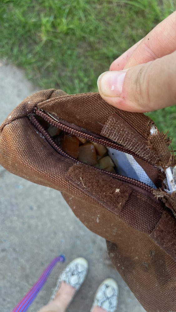 Giftköder-Eine Tüte verdächtiger Käse-Profilbild