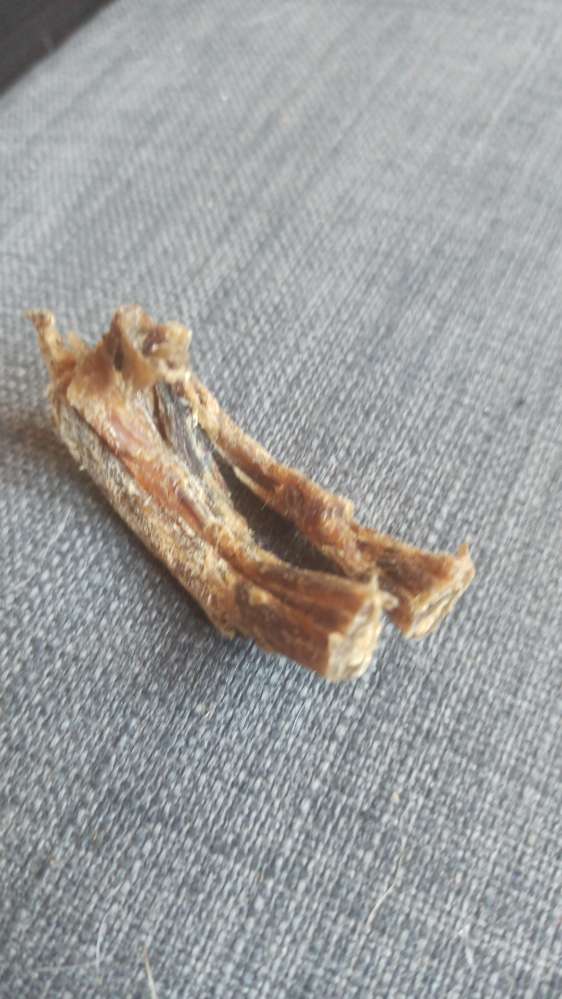 Giftköder-Verdächtige Knochen-Profilbild