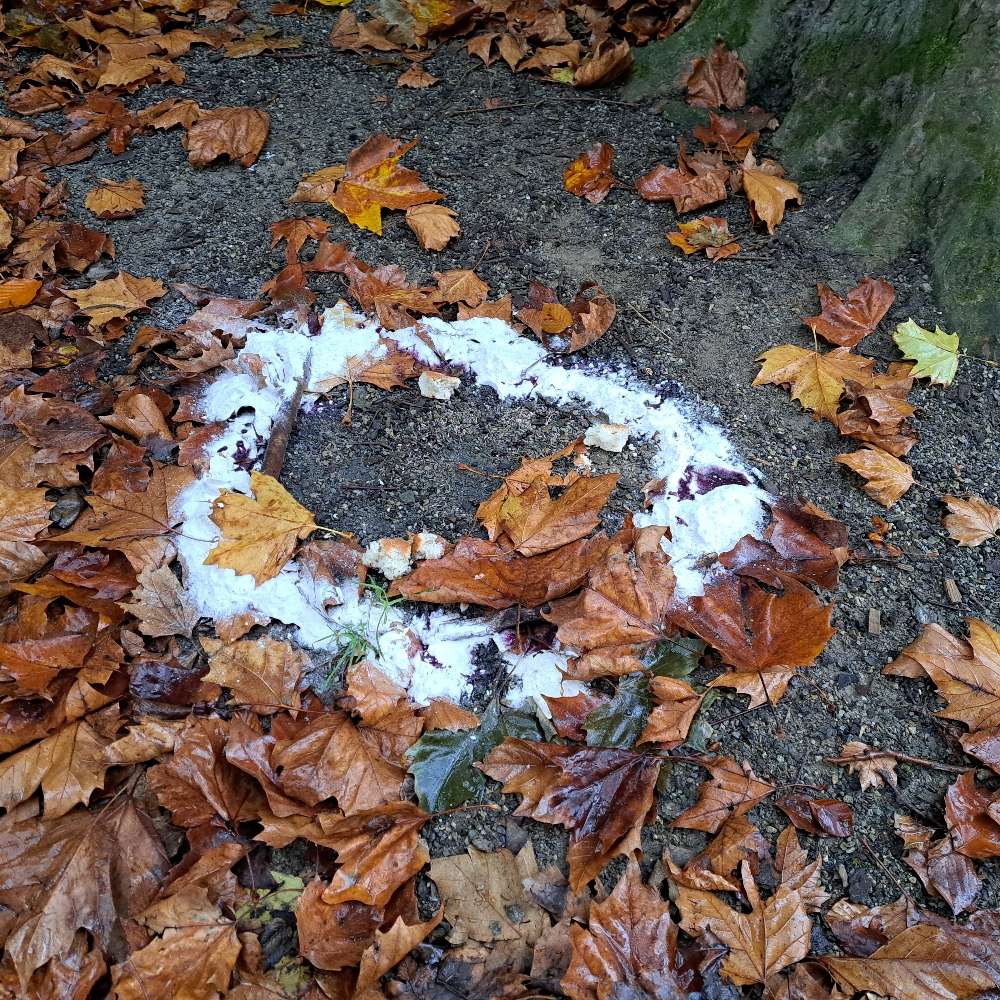 Giftköder-Weißes Pulver u. Brotstücke-Profilbild