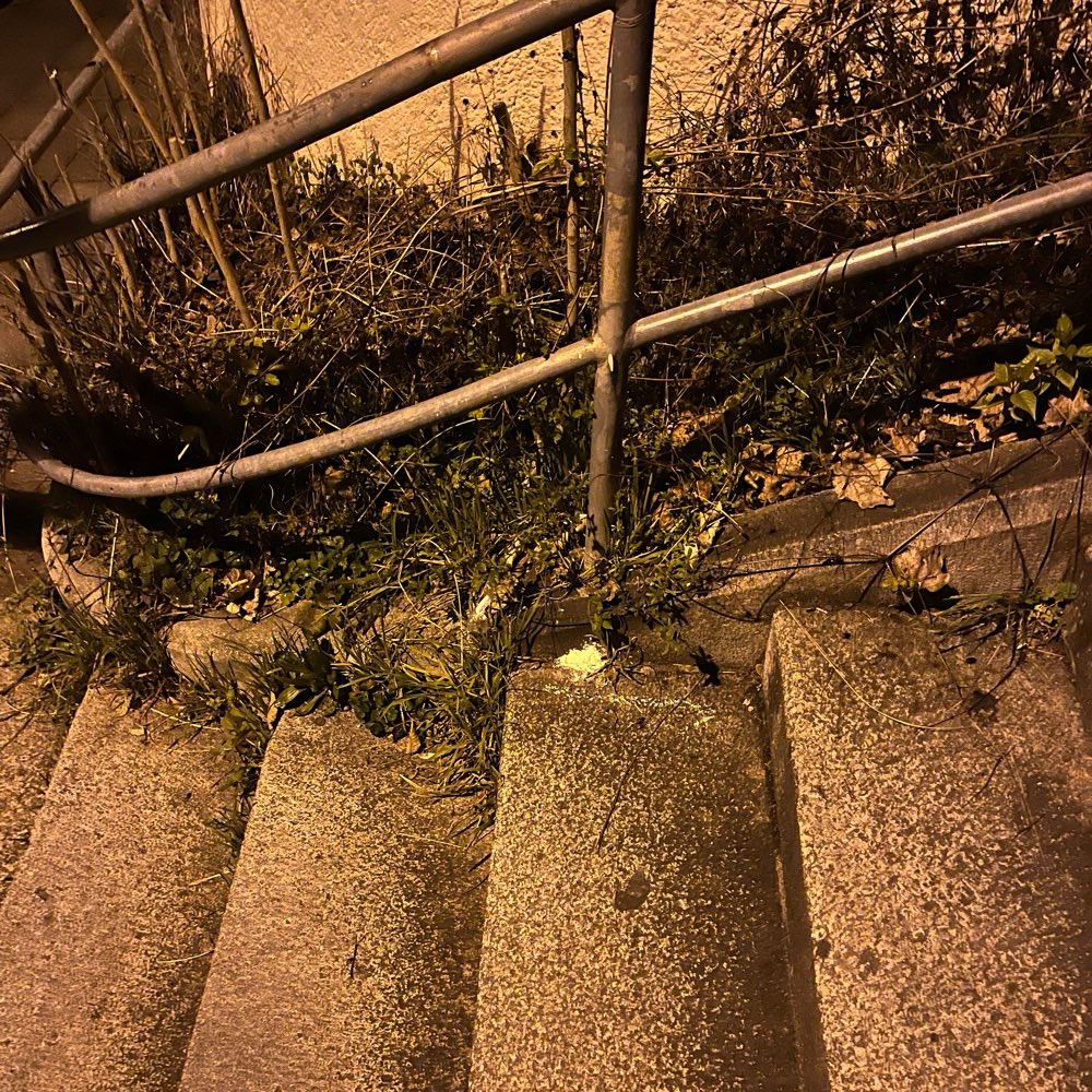 Giftköder-Weißes Pulver an Schnüffelspots-Profilbild