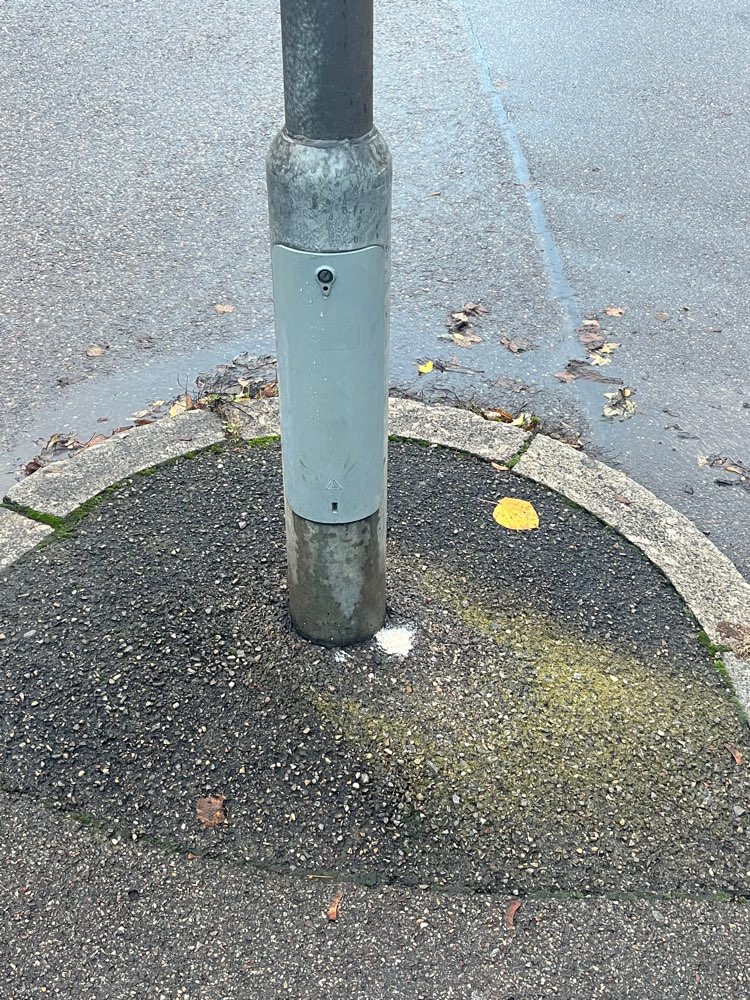 Giftköder-Weißes Pulver-Profilbild