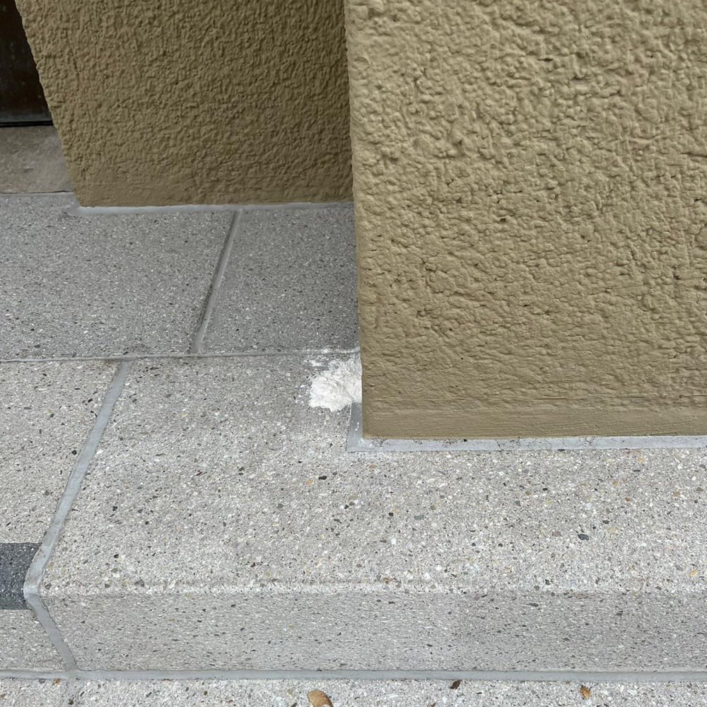 Giftköder-Weißes Pulver-Profilbild