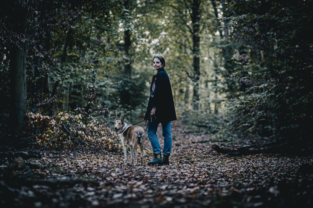 Hundetreffen-Sozialkontakt und Gassirunde-Profilbild