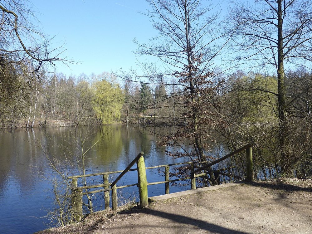 Giftköder-Blaualgen in Kesselbruchweiher-Profilbild