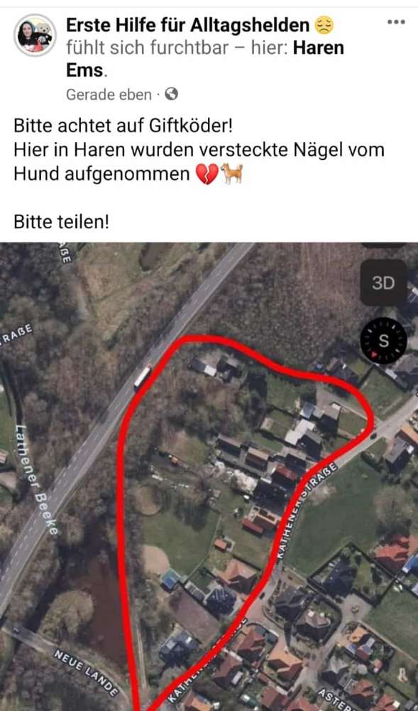Giftköder-Nagelköder-Profilbild