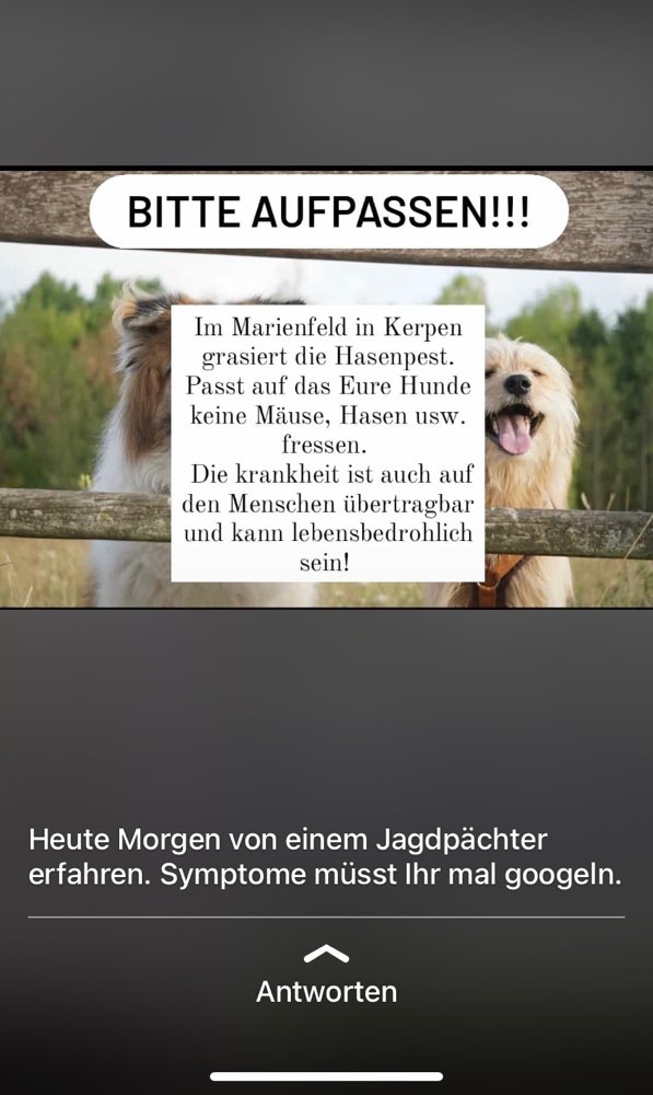 Giftköder-Hasenpest-Profilbild