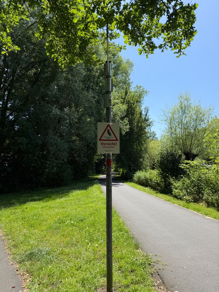 Giftköder-Eichenprozessionsspinner-Profilbild