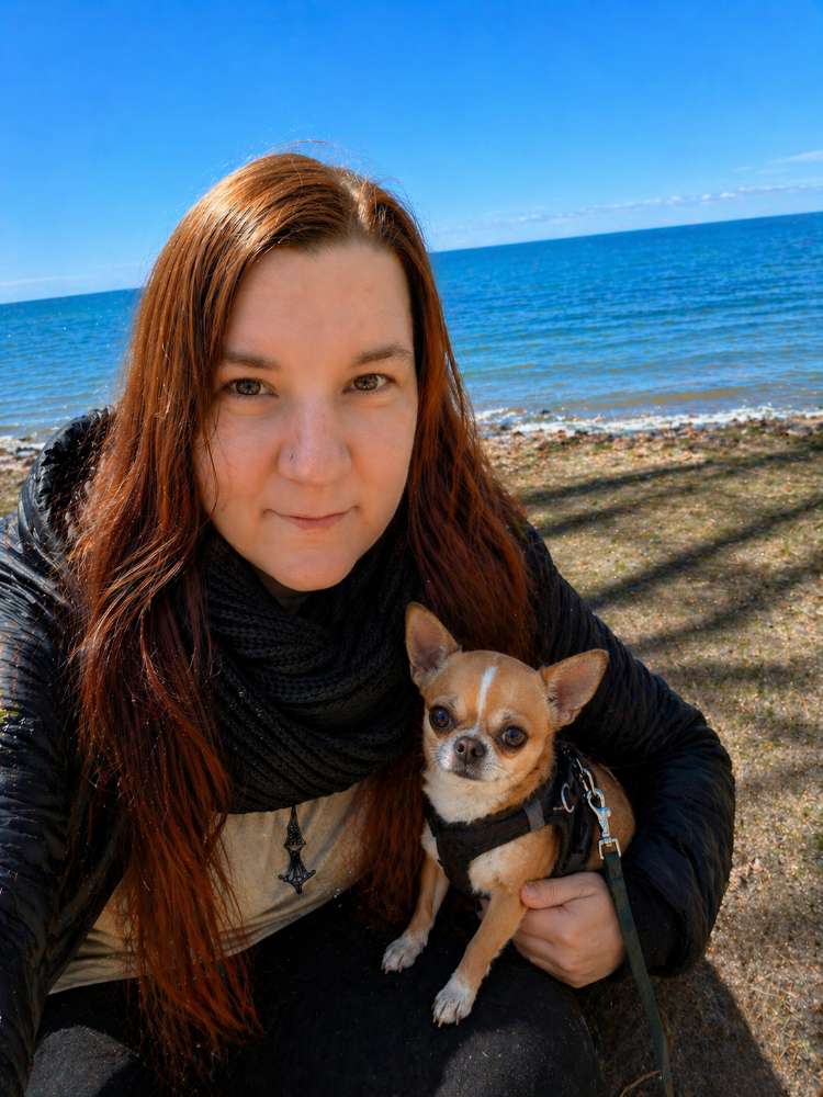 Hundetreffen-Spaziergang mit kleinen erwachsenen Hunden-Profilbild